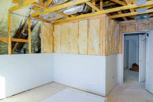 Best Spray Foam Insulation in Ferndale, MD