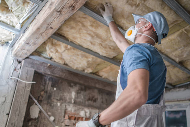 Best Residential Insulation in Ferndale, MD