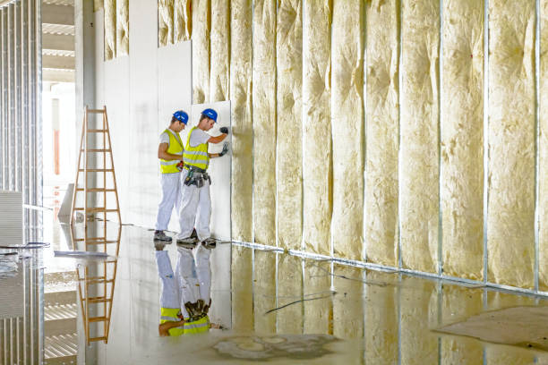 Best Specialized Insulation Services in Ferndale, MD